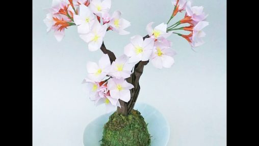 盆栽折紙「桜」